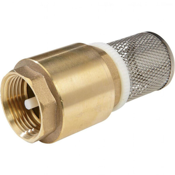 ¾inch Pegler Foot Valve havile holding